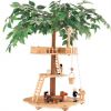 Basic Tree House