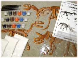 Classroom Eyewitness Dinoworks Kit