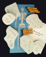 Classroom Human Traces Kit