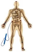 Magnetic Skeleton Maze