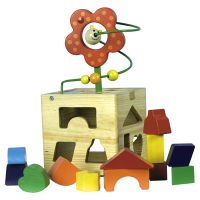 Rollercoaster Shape Sorter